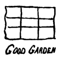 Rectangle, squares, grid, lines